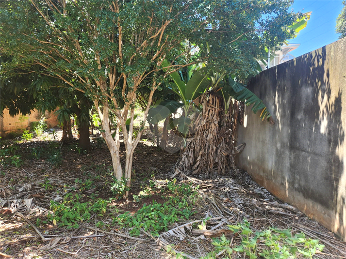 Foto REO1062646