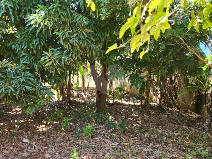 Foto REO1062646
