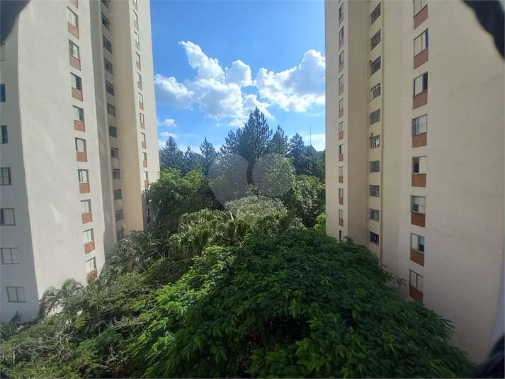 Foto REO1062655