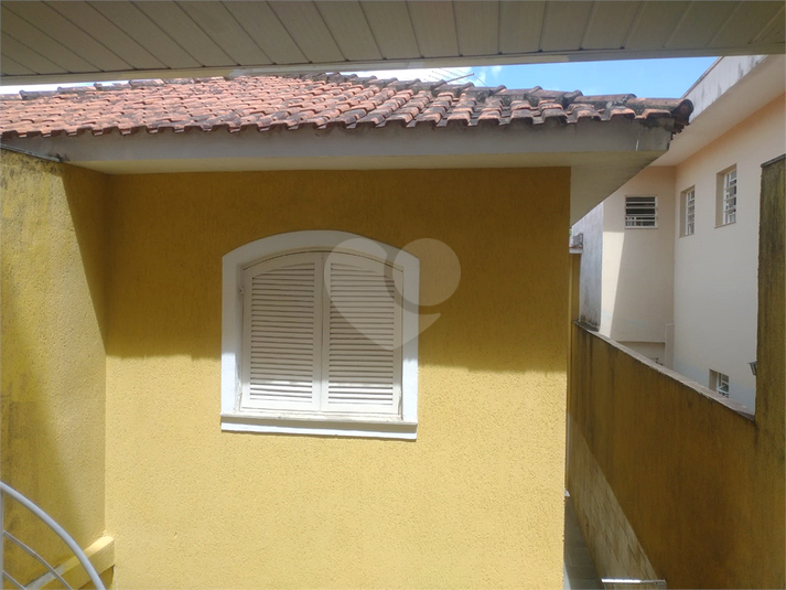 Foto REO1062723