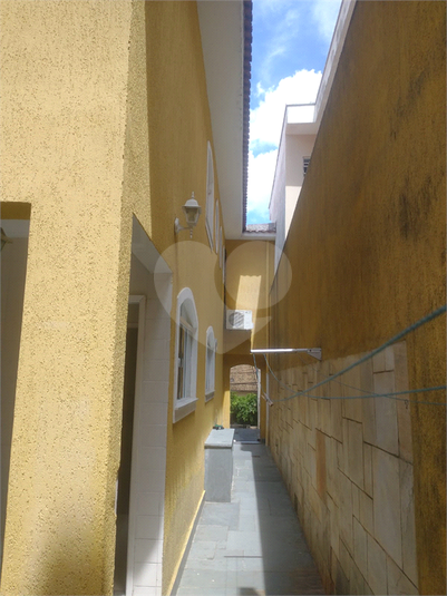 Foto REO1062723