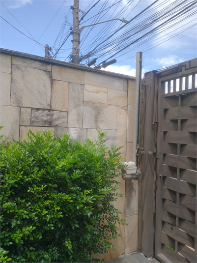 Foto REO1062723