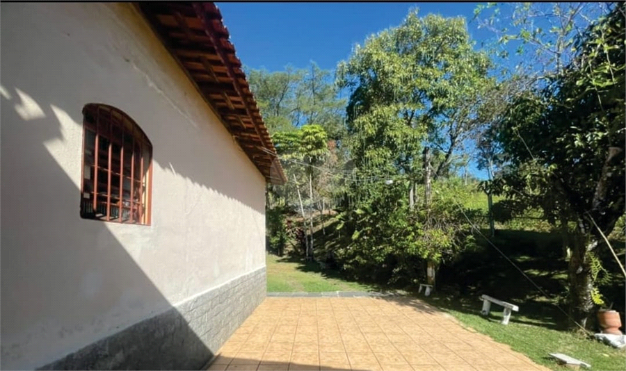 Foto REO1062730