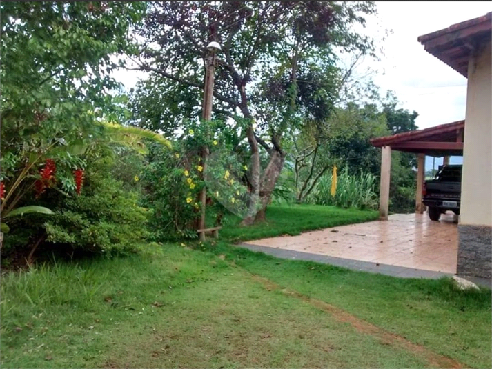 Foto REO1062730