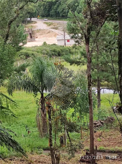 Venda Chácara Bocaiúva Do Sul Jardim Santo Antônio REO1062733 6