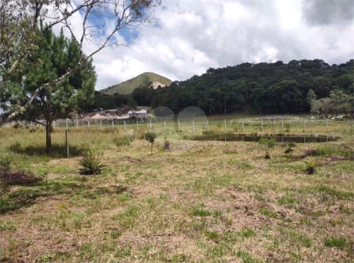 Venda Chácara Bocaiúva Do Sul Jardim Santo Antônio REO1062733 1