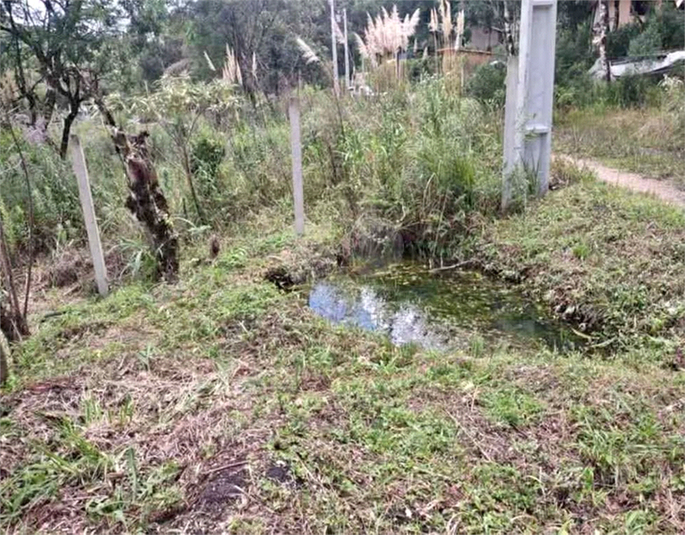 Venda Chácara Bocaiúva Do Sul Jardim Santo Antônio REO1062733 4