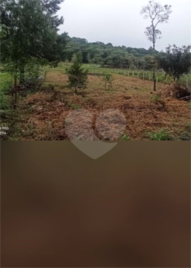 Venda Chácara Bocaiúva Do Sul Jardim Santo Antônio REO1062733 12