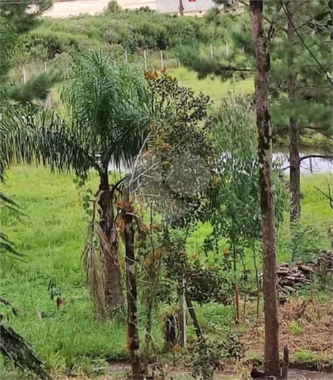 Venda Chácara Bocaiúva Do Sul Jardim Santo Antônio REO1062733 11