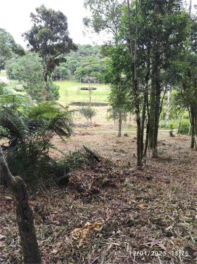 Venda Chácara Bocaiúva Do Sul Jardim Santo Antônio REO1062733 7