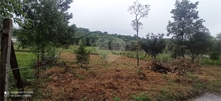 Venda Chácara Bocaiúva Do Sul Jardim Santo Antônio REO1062733 9