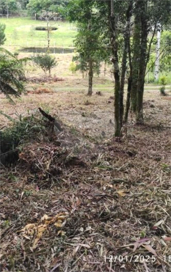 Venda Chácara Bocaiúva Do Sul Jardim Santo Antônio REO1062733 10