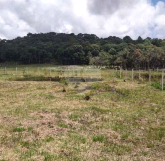 Venda Chácara Bocaiúva Do Sul Jardim Santo Antônio REO1062733 13