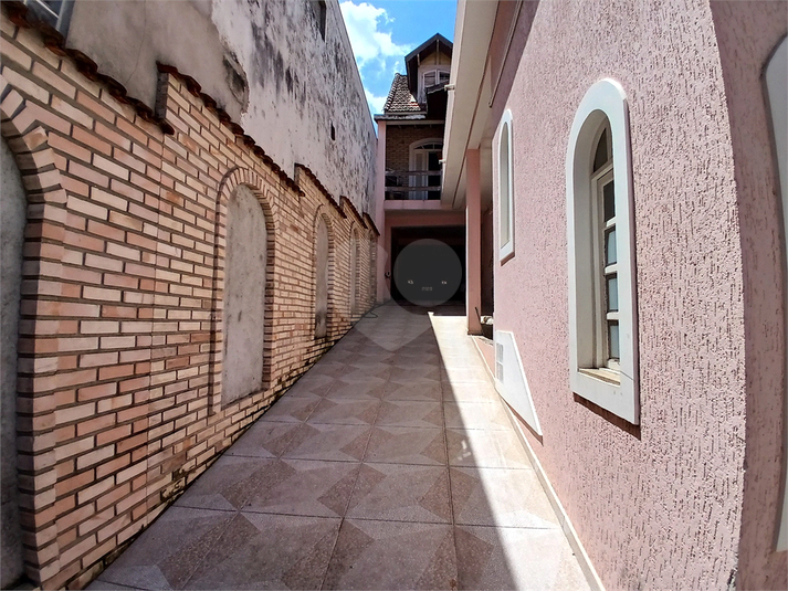 Foto REO1062740