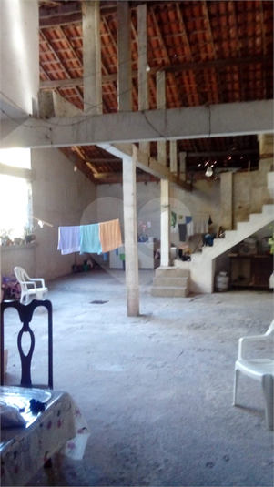 Foto REO1062787