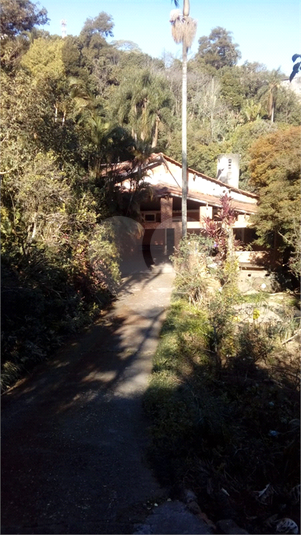 Foto REO1062787
