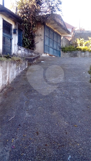 Foto REO1062787