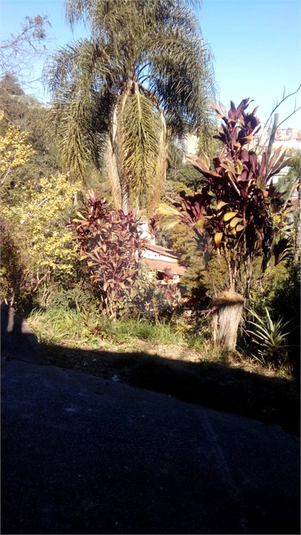 Foto REO1062787