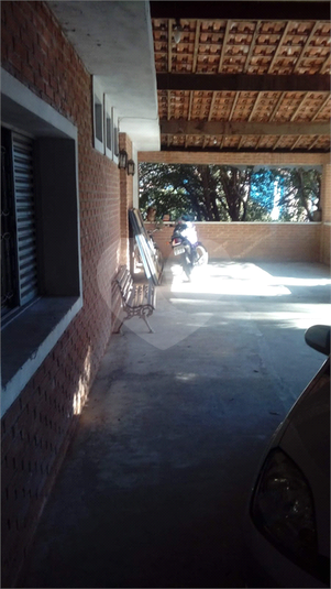 Foto REO1062787