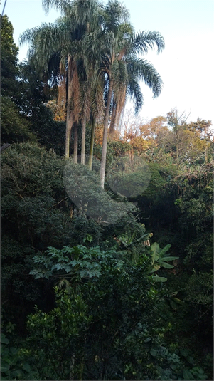 Foto REO1062787