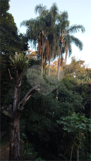 Foto REO1062787