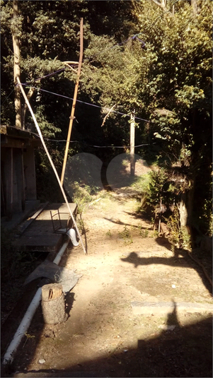Foto REO1062787