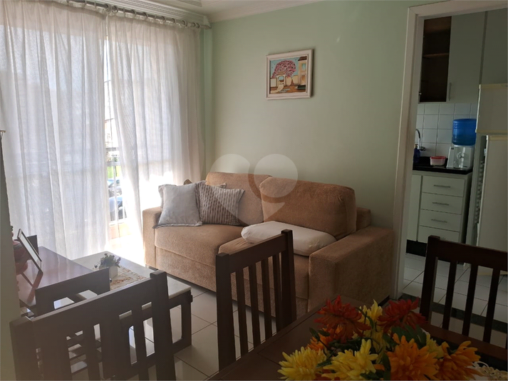 Foto REO1062829