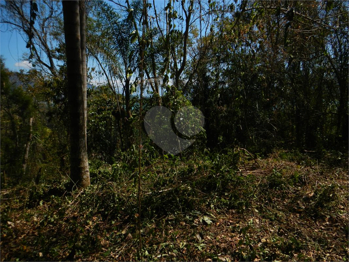 Venda Terreno Ilhabela Camarão REO1062847 14