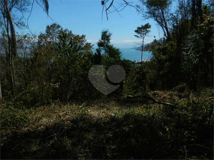 Venda Terreno Ilhabela Camarão REO1062847 18