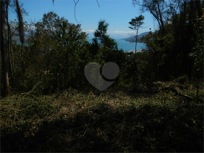 Venda Terreno Ilhabela Camarão REO1062847 17