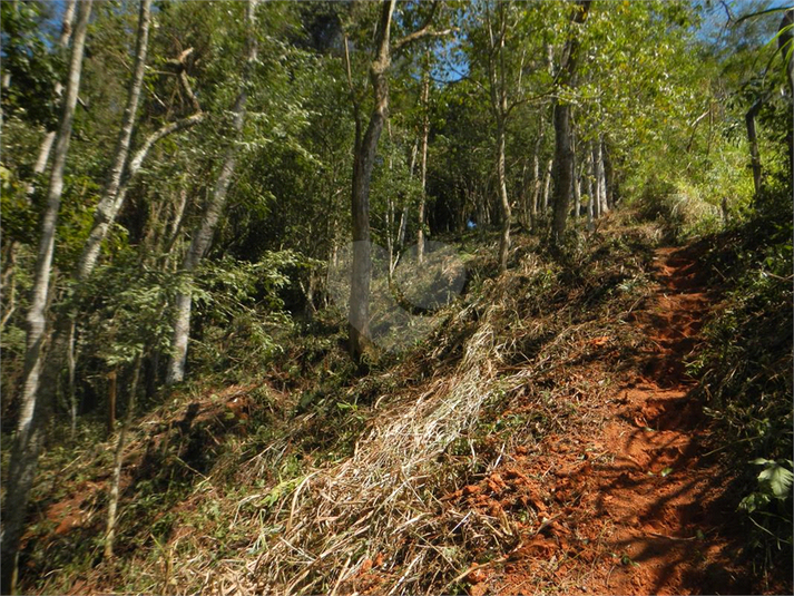 Venda Terreno Ilhabela Camarão REO1062847 4