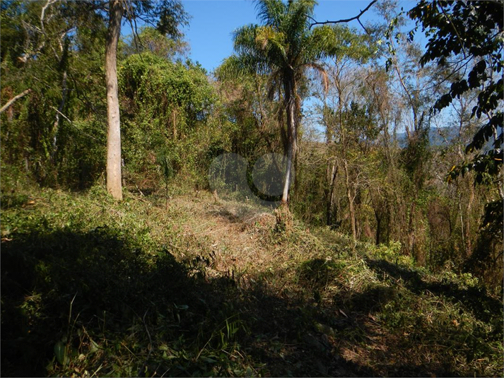 Venda Terreno Ilhabela Camarão REO1062847 15