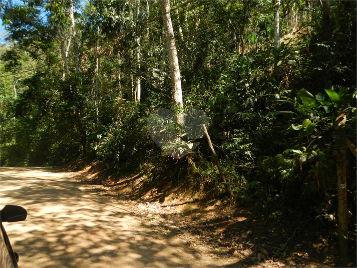 Venda Terreno Ilhabela Camarão REO1062847 3