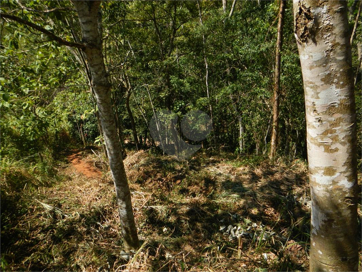 Venda Terreno Ilhabela Camarão REO1062847 8