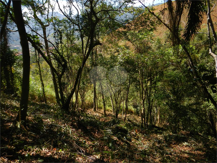 Venda Terreno Ilhabela Camarão REO1062847 11