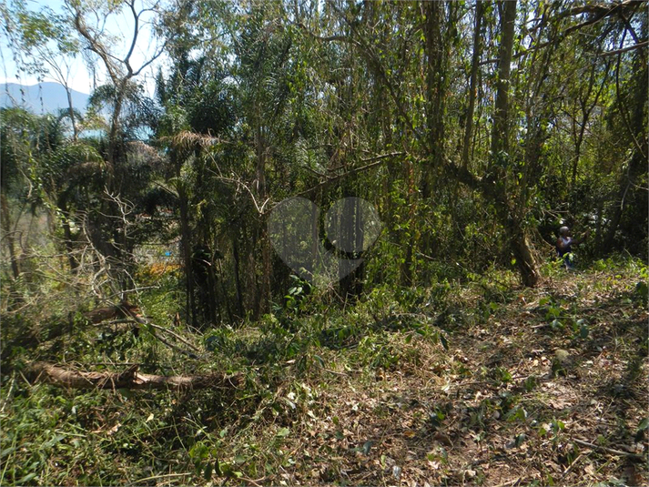 Venda Terreno Ilhabela Camarão REO1062847 25