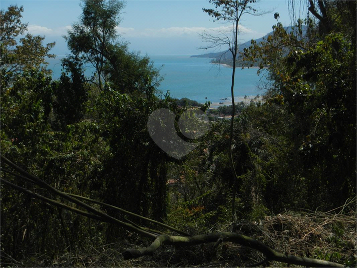 Venda Terreno Ilhabela Camarão REO1062847 21