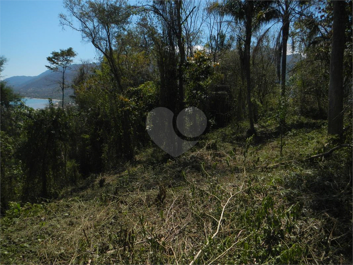 Venda Terreno Ilhabela Camarão REO1062847 23