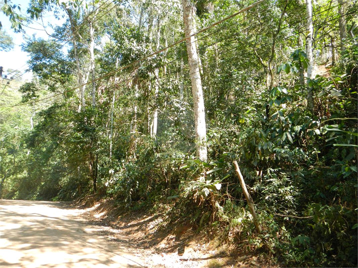 Venda Terreno Ilhabela Camarão REO1062847 1