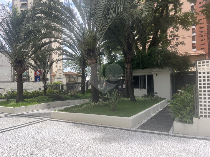 Foto REO1062864