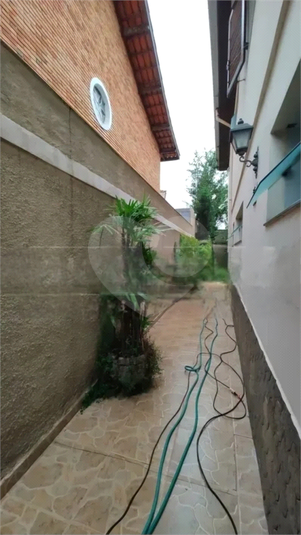 Foto REO1062896