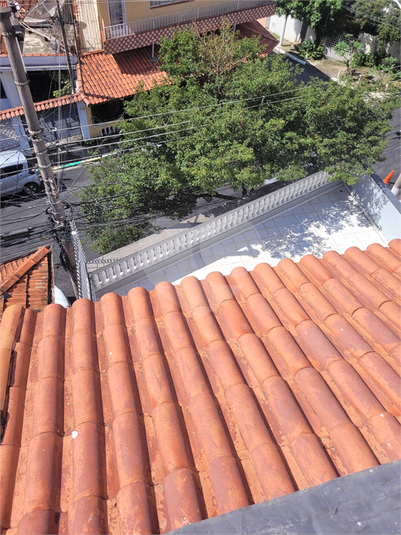Foto REO1062955