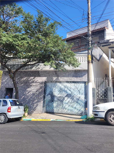 Foto REO1062955