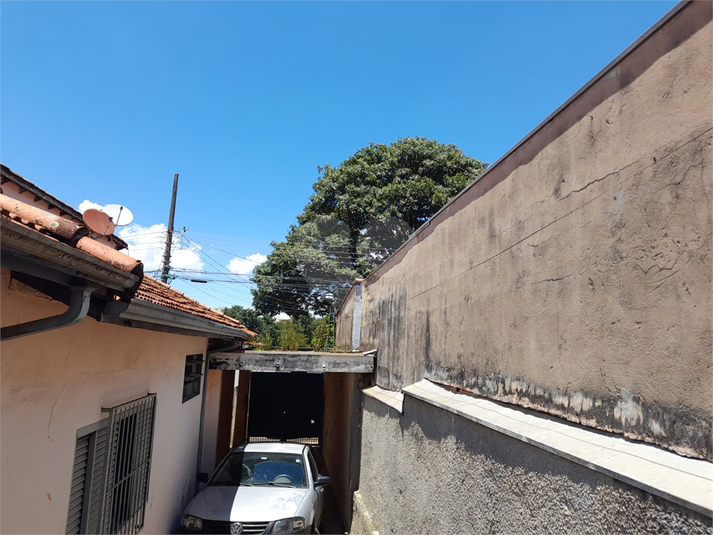 Foto REO1062967