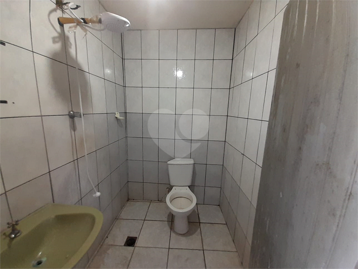 Foto REO1062967