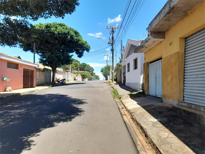 Foto REO1062967