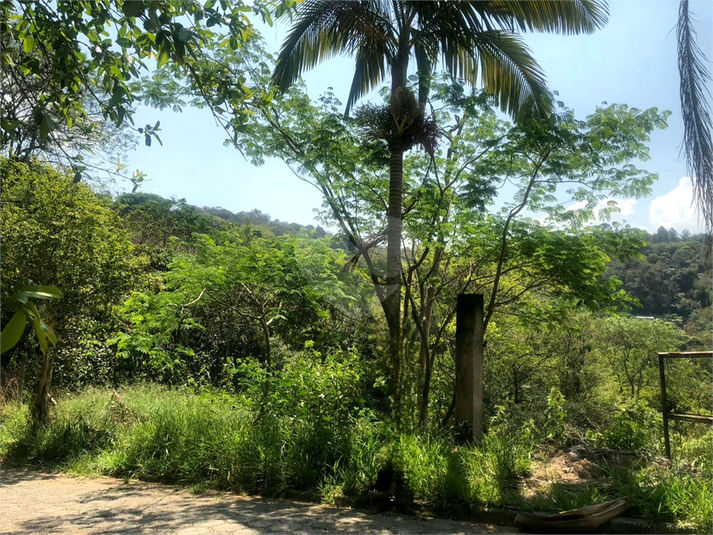 Foto REO1063019