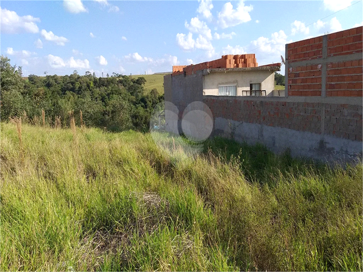 Foto REO1063033