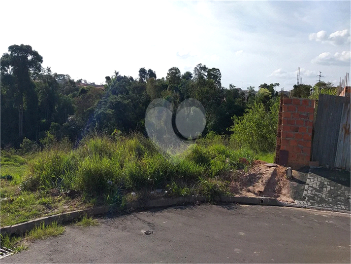 Foto REO1063033