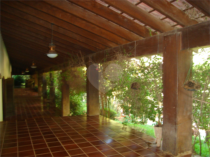 Foto REO1063089